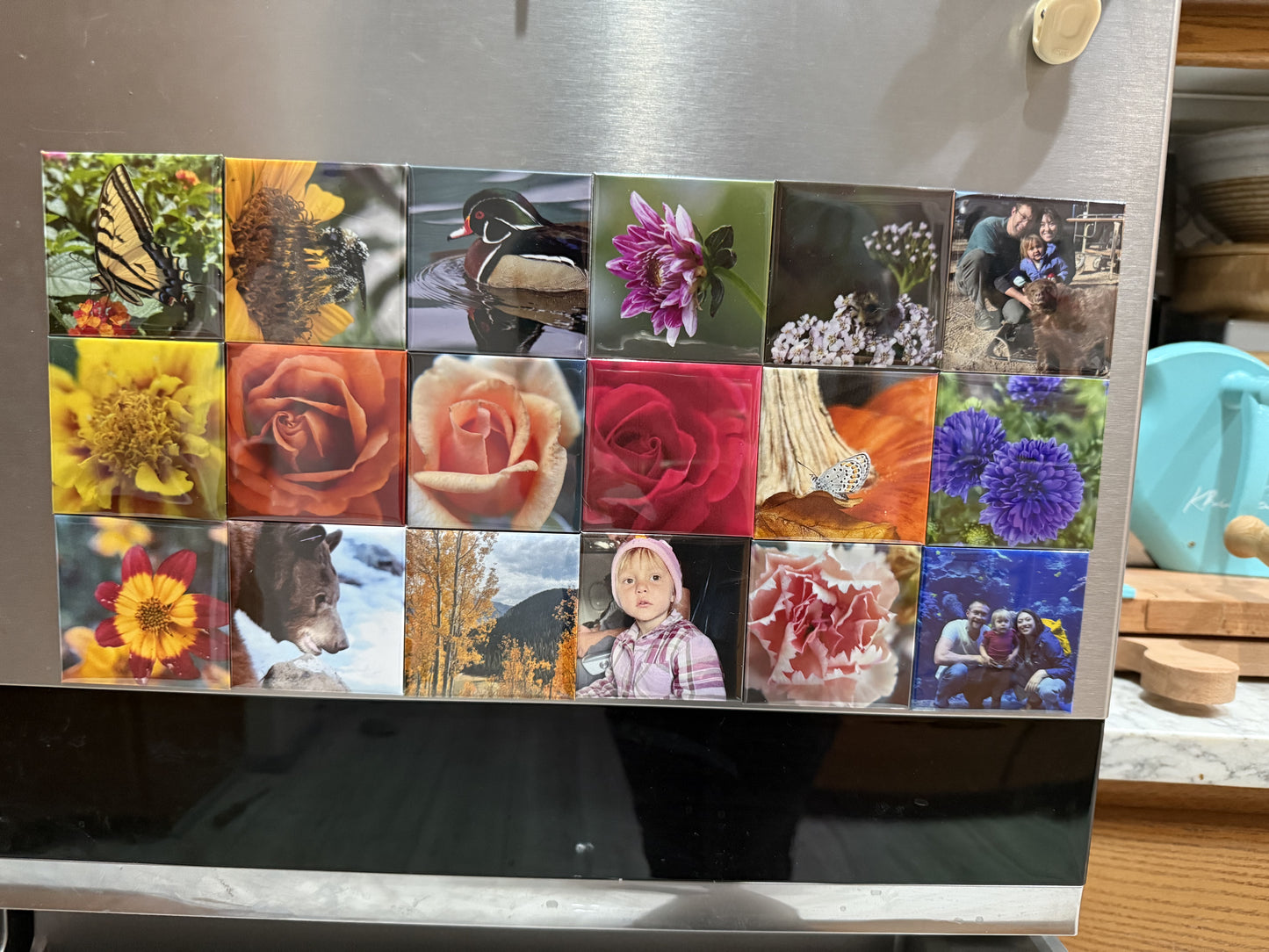 2.5" x 2.5" Custom Photo Magnets