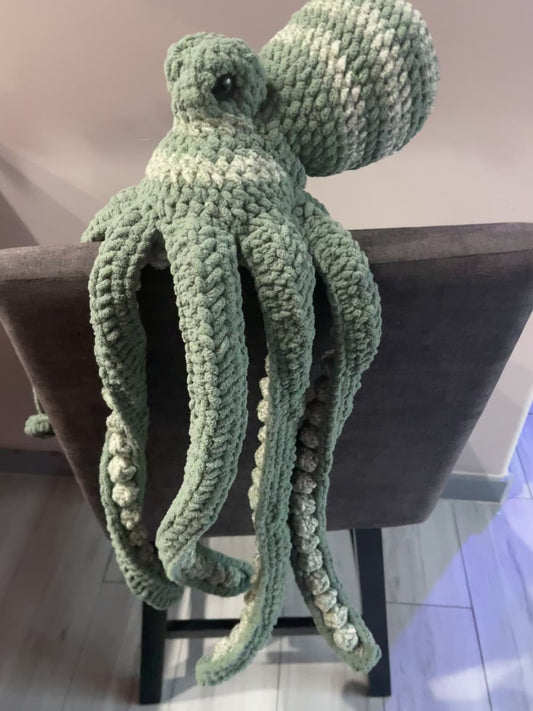 Octopus